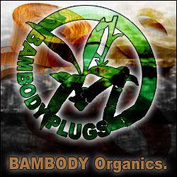 Journey On A Sinking Ship : Demo 2007